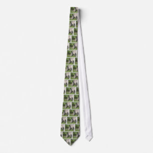 White Rhino Men's Necktie