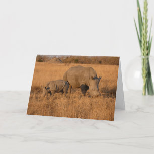 WHITE RHINO MOM AND CALF  CARD