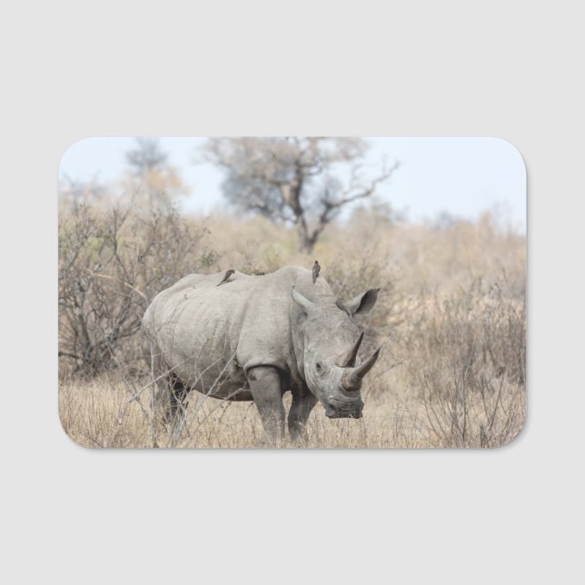 White Rhino Name Tag (Front)