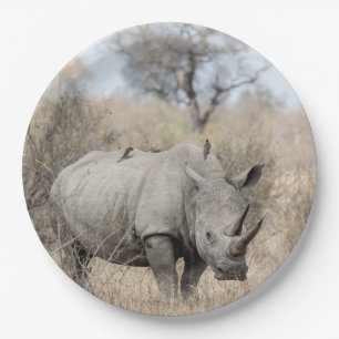 White Rhino Paper Plate