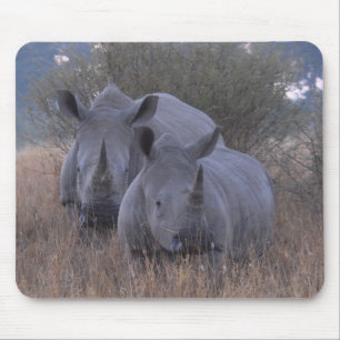 White Rhinos Mouse Mat