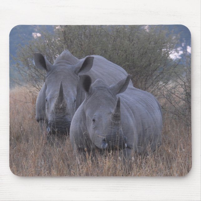 White Rhinos Mouse Mat (Front)