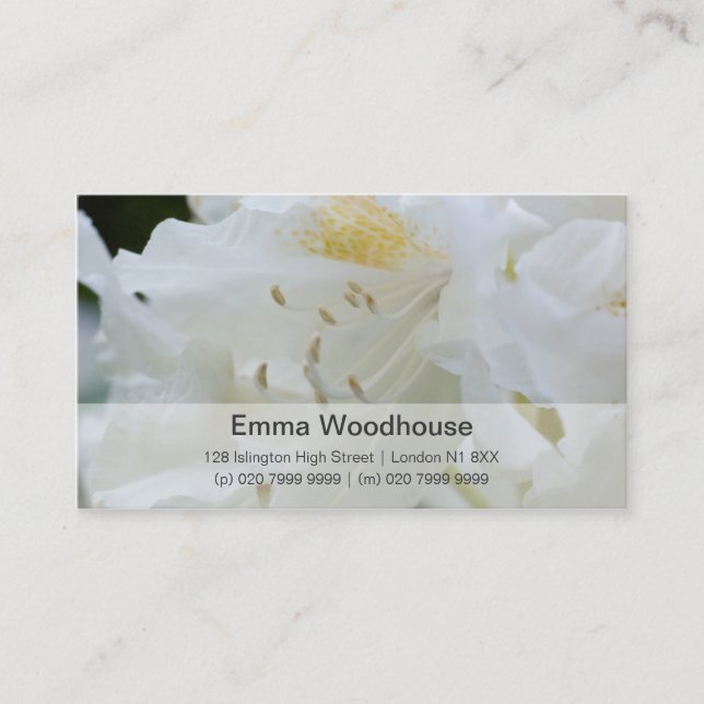 White Rhododendron | Weisse Rhododendron Business Card (Front)