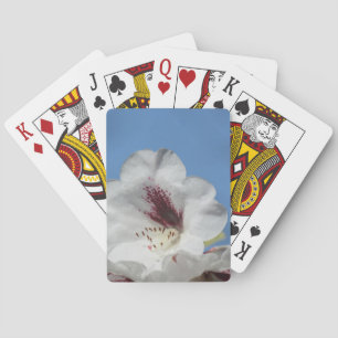 White Rhododendron with Burgundy Playing Cards