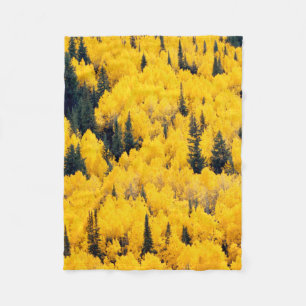 White River National Forest   Aspen, Colorada Fleece Blanket