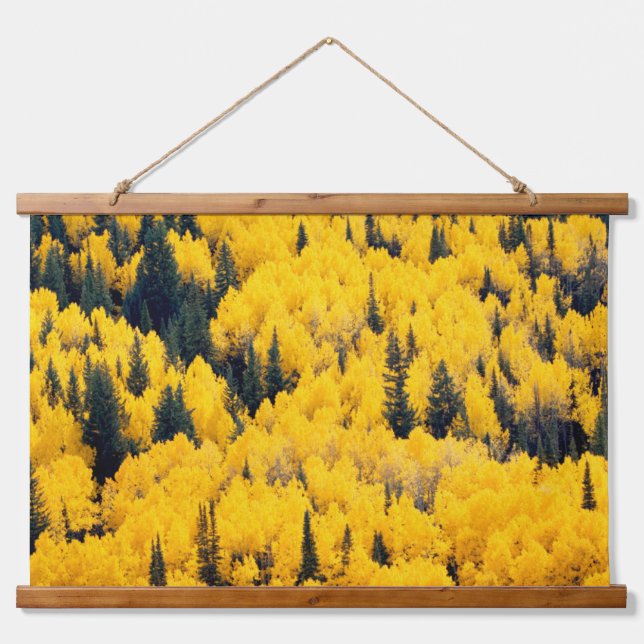 White River National Forest | Aspen, Colorada Hanging Tapestry (Front)