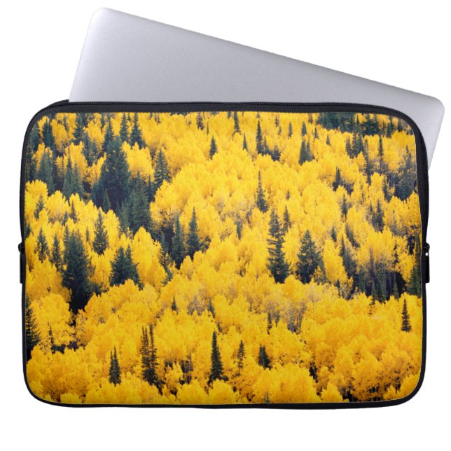 White River National Forest | Aspen, Colorada Laptop Sleeve (Front)