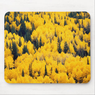 White River National Forest   Aspen, Colorada Mouse Mat