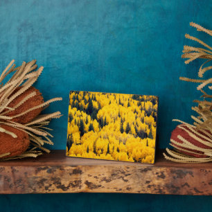 White River National Forest Aspen, Colorada Plaque