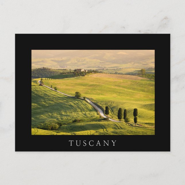 White road in Tuscany landscape black postcard (Front)