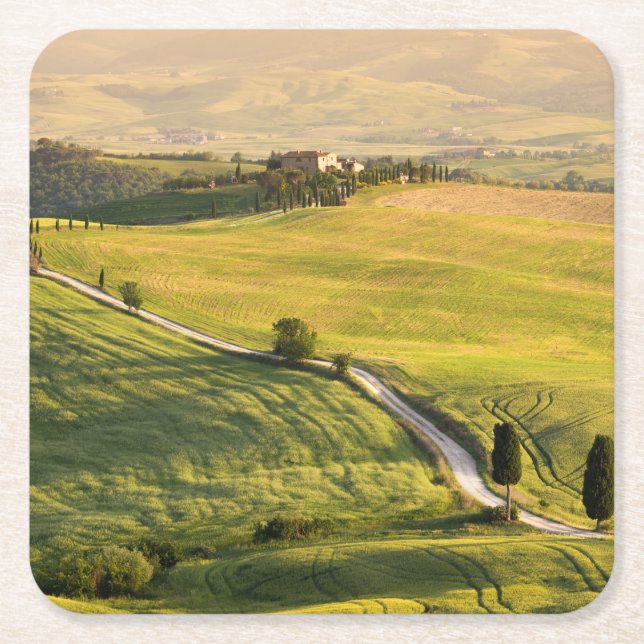 White road in Tuscany landscape coaster (Front)
