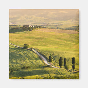 White road in Tuscany landscape magnet