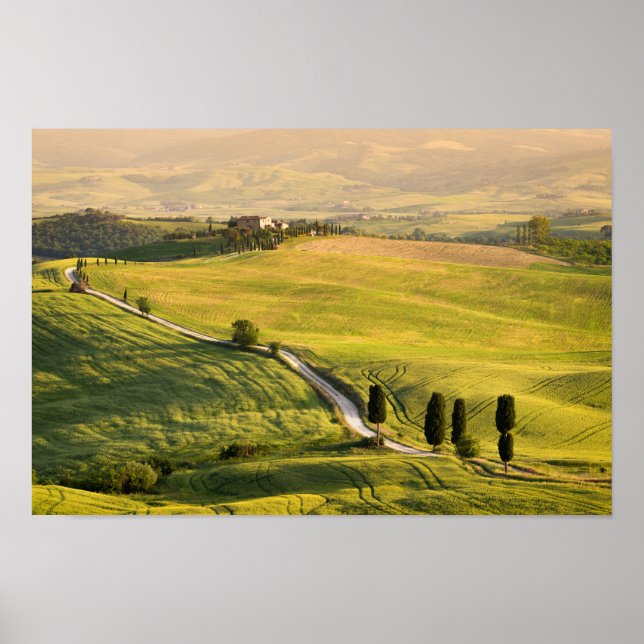 White road in Tuscany landscape poster (Front)