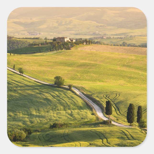 White road in Tuscany landscape sticker (Front)