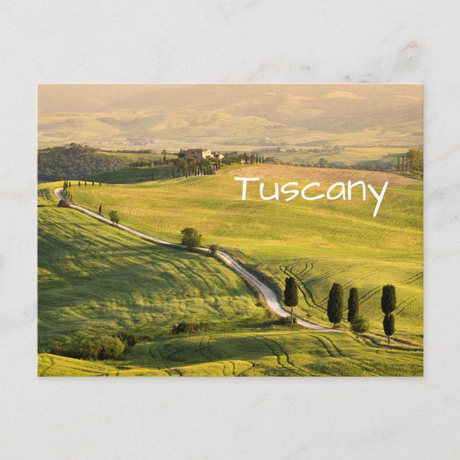White road in Tuscany landscape text postcard (Front)