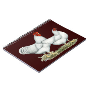 White Rock Chickens Notebook