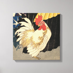 White Rooster Canvas Print
