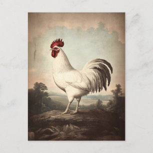 White Rooster Illustration Vintage Inspired Postcard