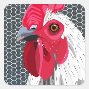 White rooster square sticker