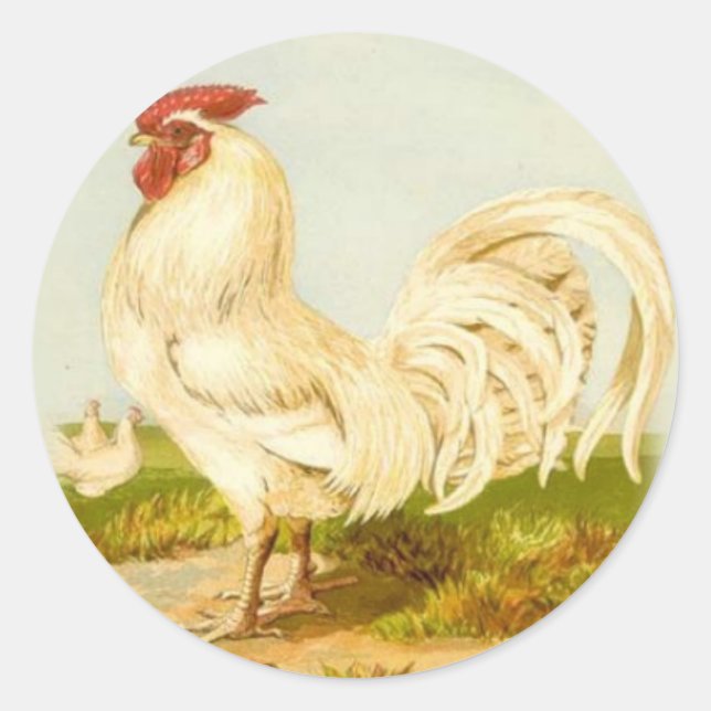 White Rooster Stickers (Front)