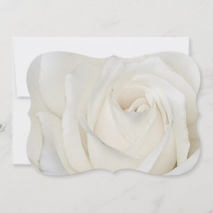 White Rose 5x7 Invitation