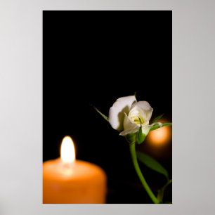 White rose and candle poster