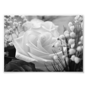 White Rose B&W Flower Photo Print