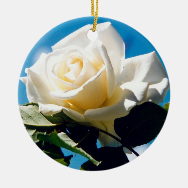 White Rose Beauty   Ceramic Tree Decoration (Front)