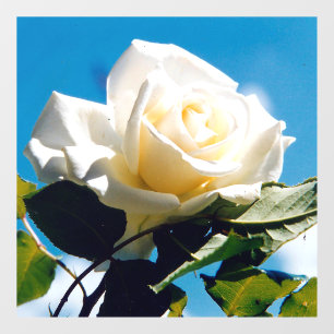 White Rose Beauty  Window Cling