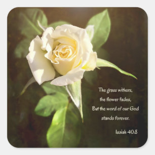 White Rose Bible Quote Square Sticker