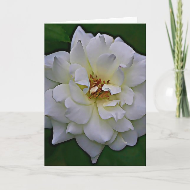 White Rose Bloom Scripture Card John 1:9 (Front)