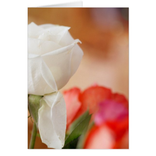 White Rose Bokeh Custom Text (Front)