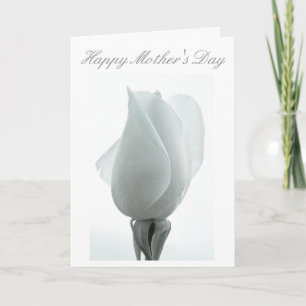 White rose bud ... Mother's day card