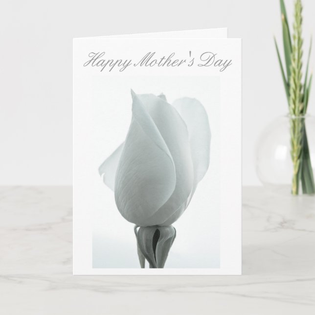 White rose bud ... Mother's day card (Front)