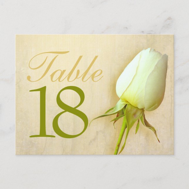 White rose bud wedding table number 10-39 postcard (Front)