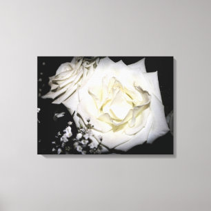 White Rose Canvas