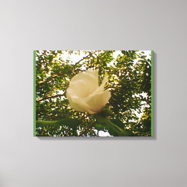 White Rose Canvas Print (Front)