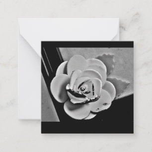 White Rose Card