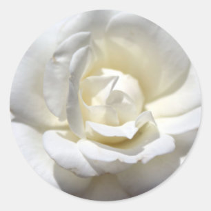White Rose Classic Round Sticker