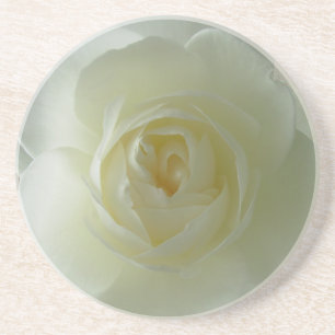 White Rose Coasters Sunny Rose Gifts Keepsake Dec
