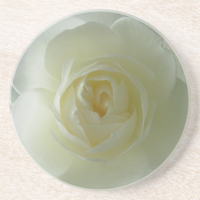 White Rose Coasters Sunny Rose Gifts Keepsake Dec (Front)