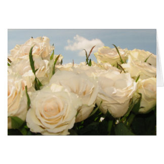 White rose delight