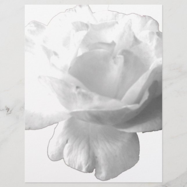 White Rose Design (Front)