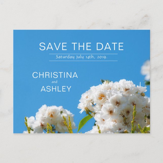 White rose floral announcement postcard (Front)