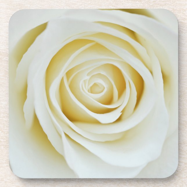 White rose flower Coaster (Front)