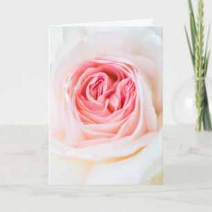 "WHITE ROSE FLOWER" FLORAL GREETING CARD