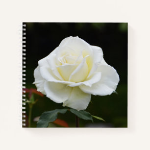 White rose flower notebook