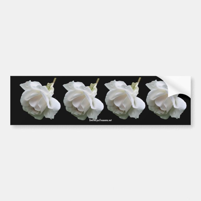 White Rose Flower Photo Bumper Sticker (Front)