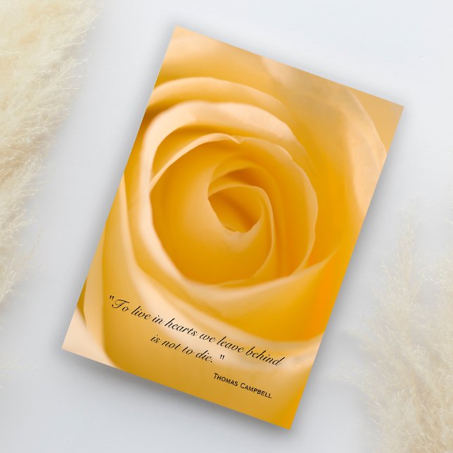 White Rose Flower Thank You for Your Sympathy Card (Creator Uploaded)
