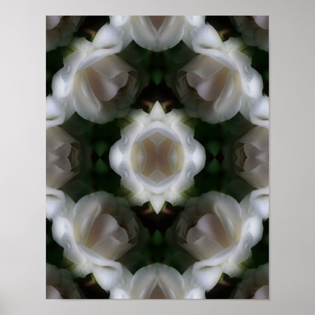 White Rose Flowers Abstract       Poster (Front)